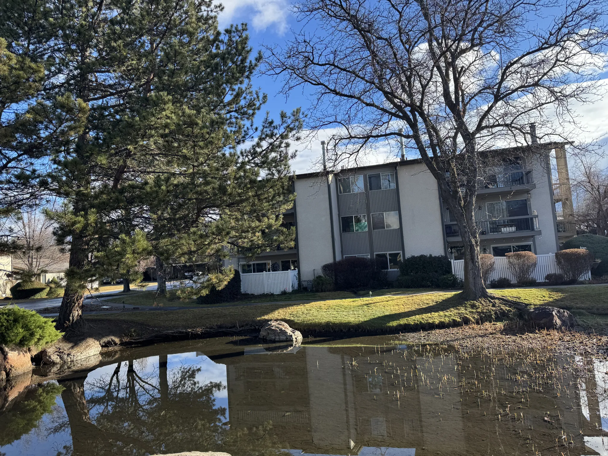 Rear view of property featuring pine trees and serene duck pond