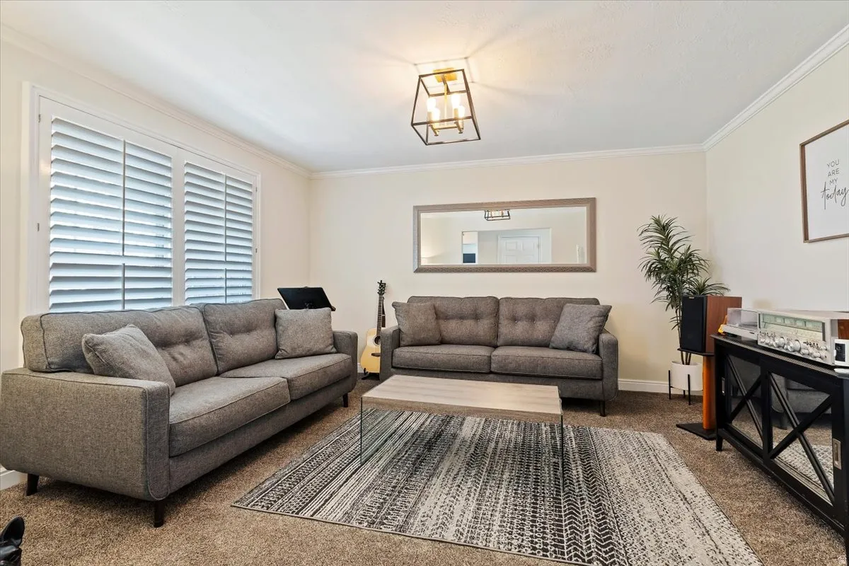 Carpeted living area featuring crown molding and baseboards