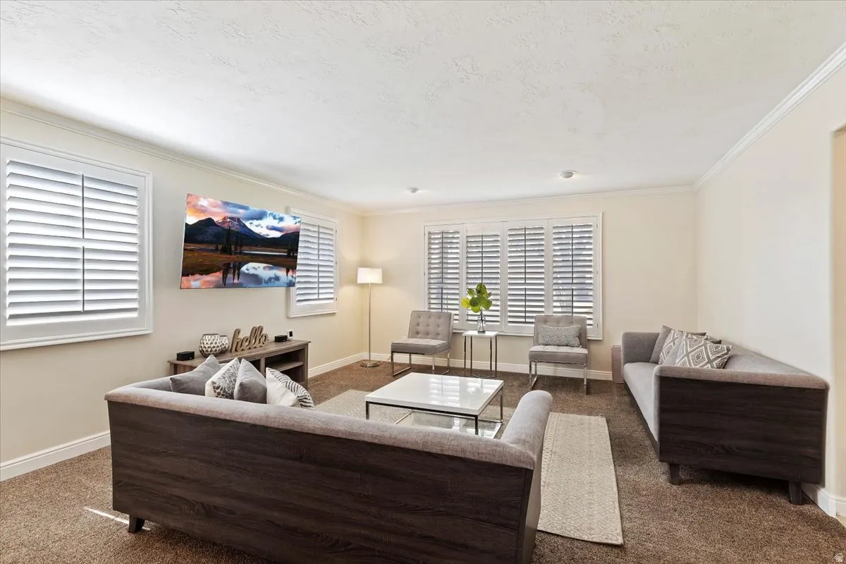 Carpeted living room featuring crown molding and a textured ceiling