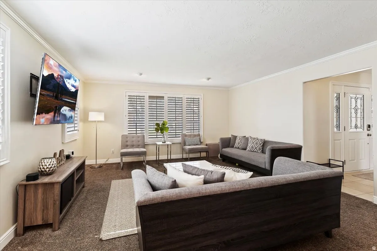 Living room featuring ornamental molding and carpet