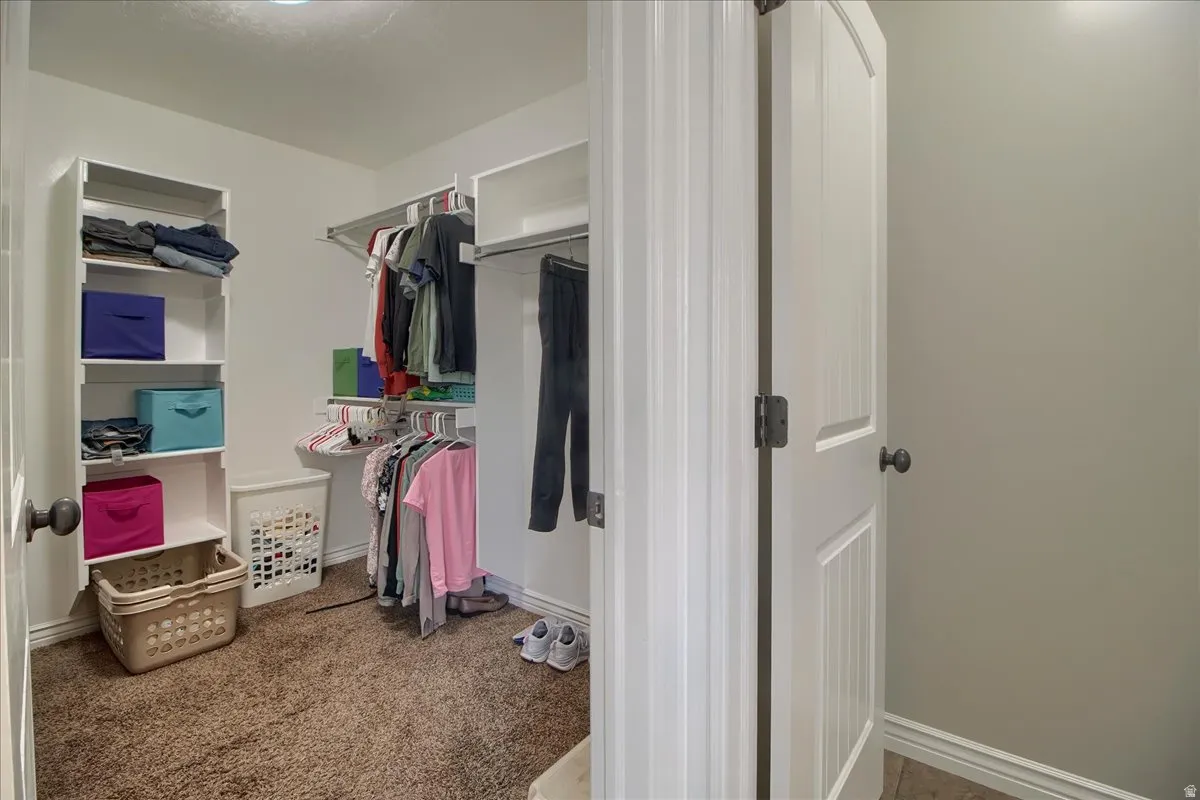 Walk in closet with light colored carpet
