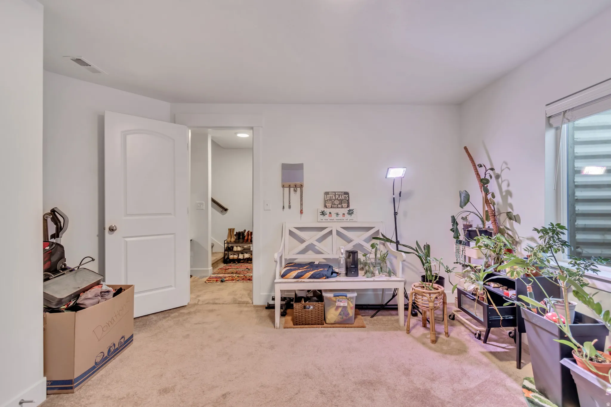 Interior space with light carpet