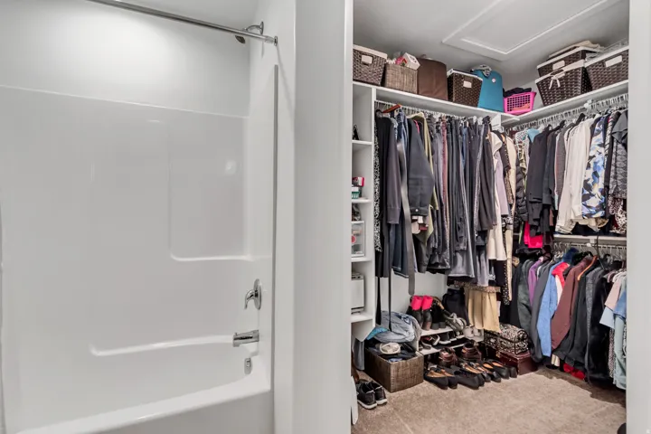 Walk in closet featuring light colored carpet and attic access
