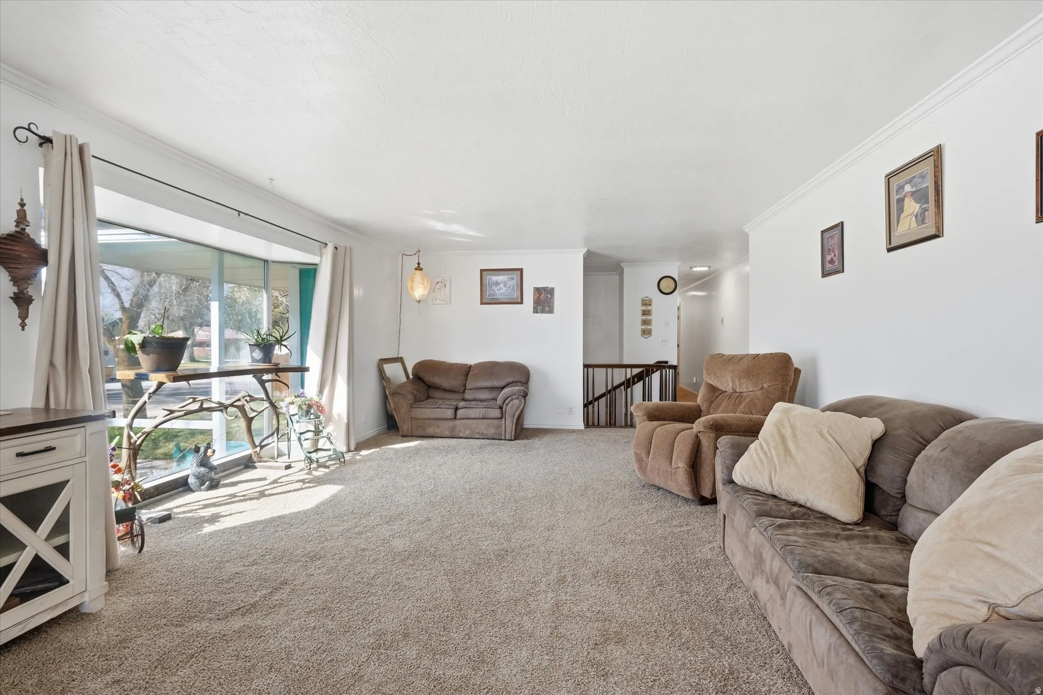 Living area featuring crown molding and carpet flooring