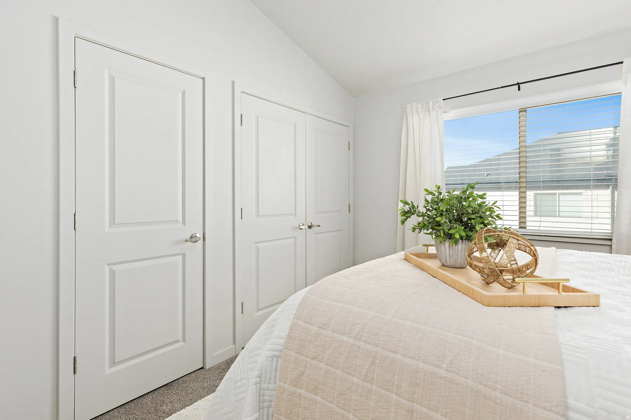 Carpeted bedroom with lofted ceiling and a closet