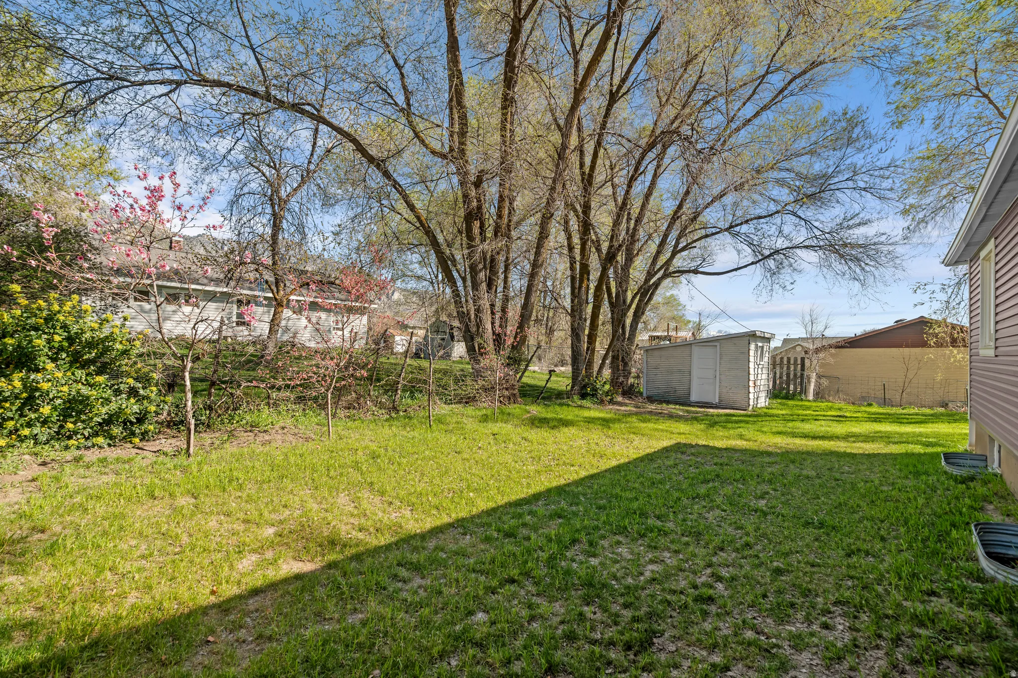 View of green lawn featuring a shed