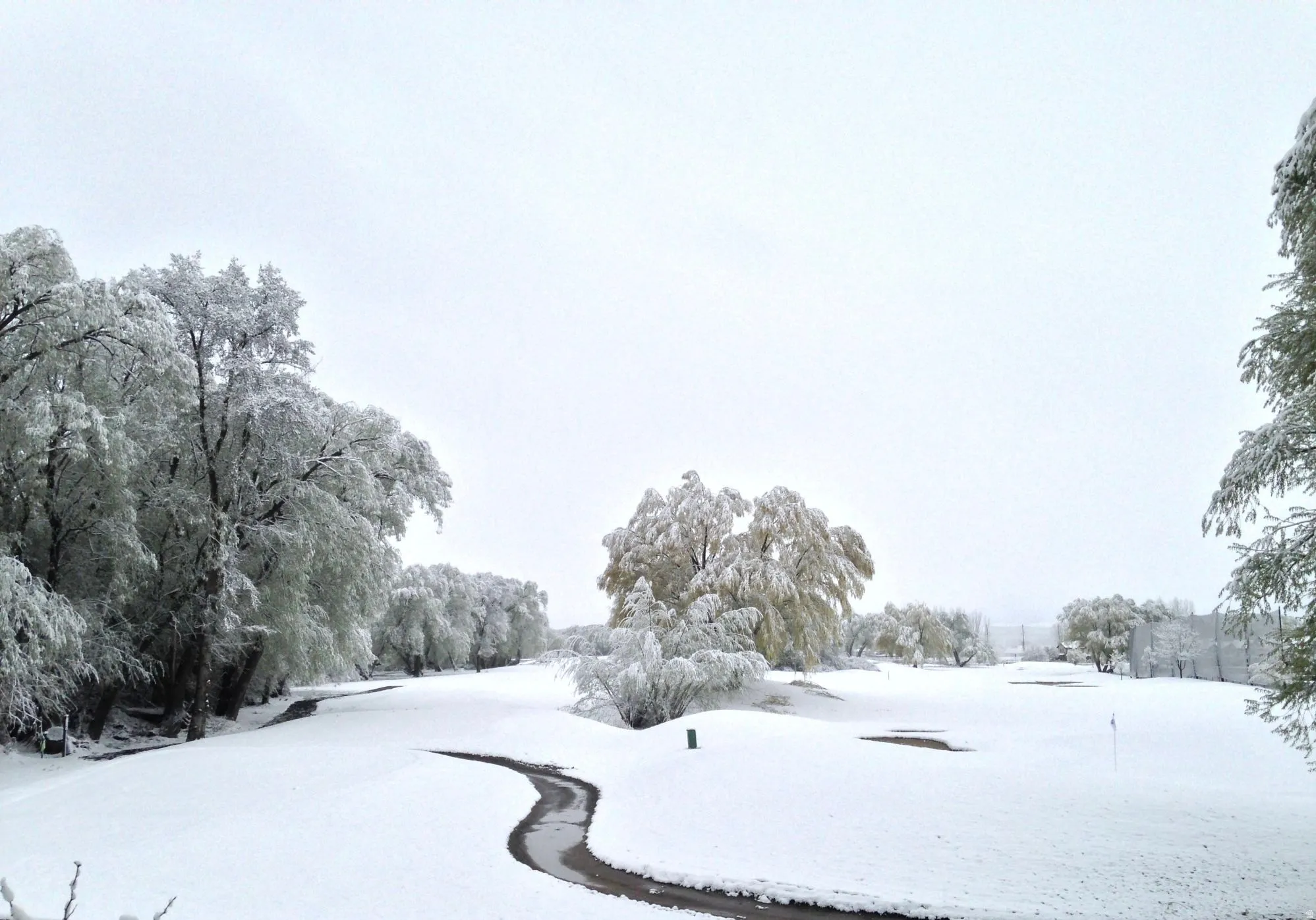 View of property's community