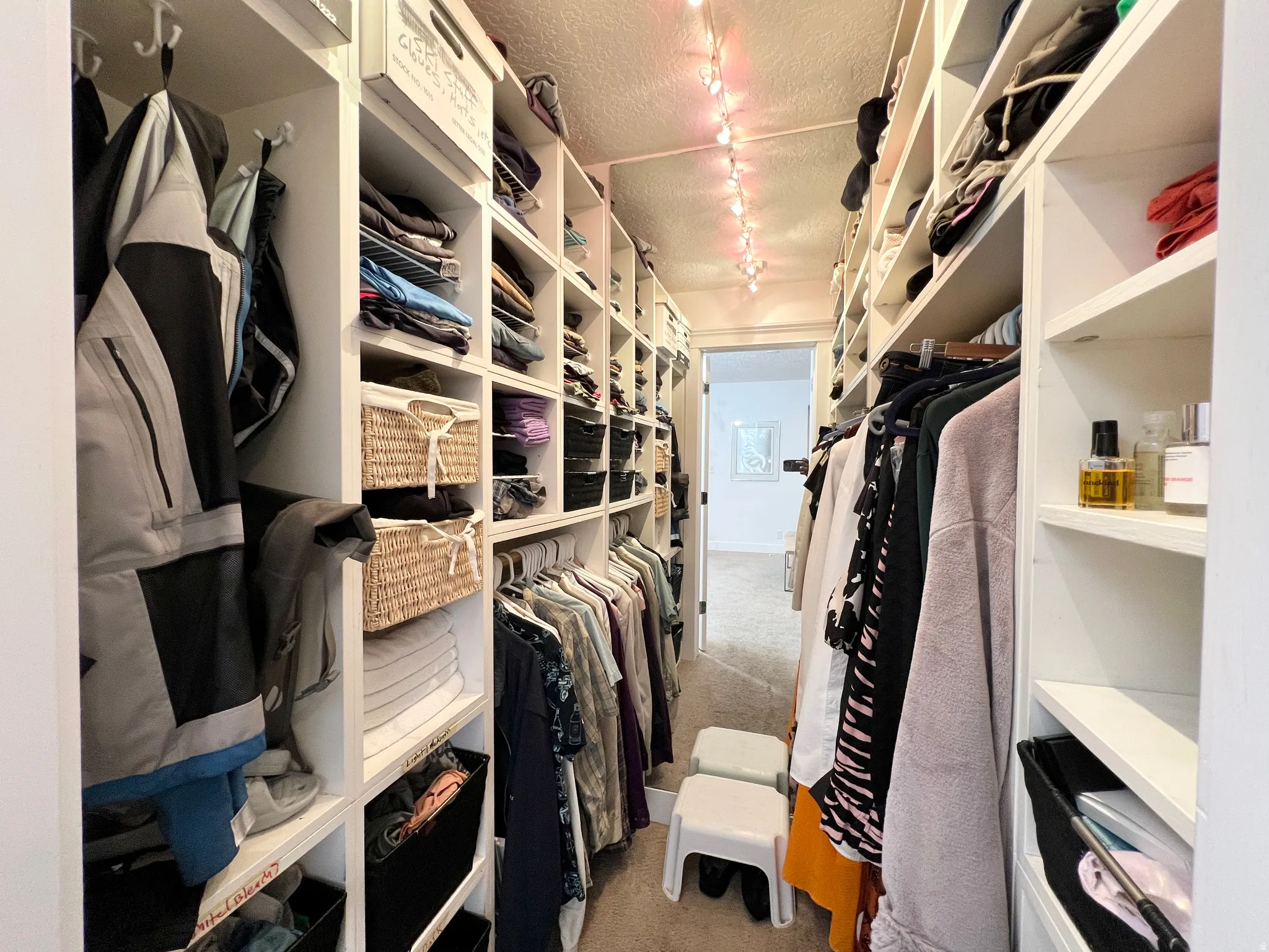 Walk in closet with light carpet