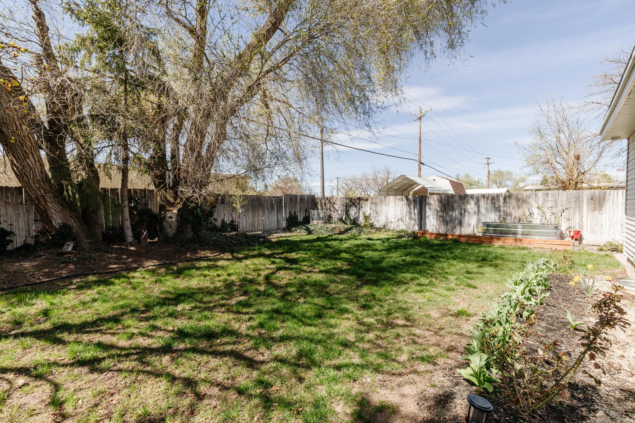 View of fenced backyard