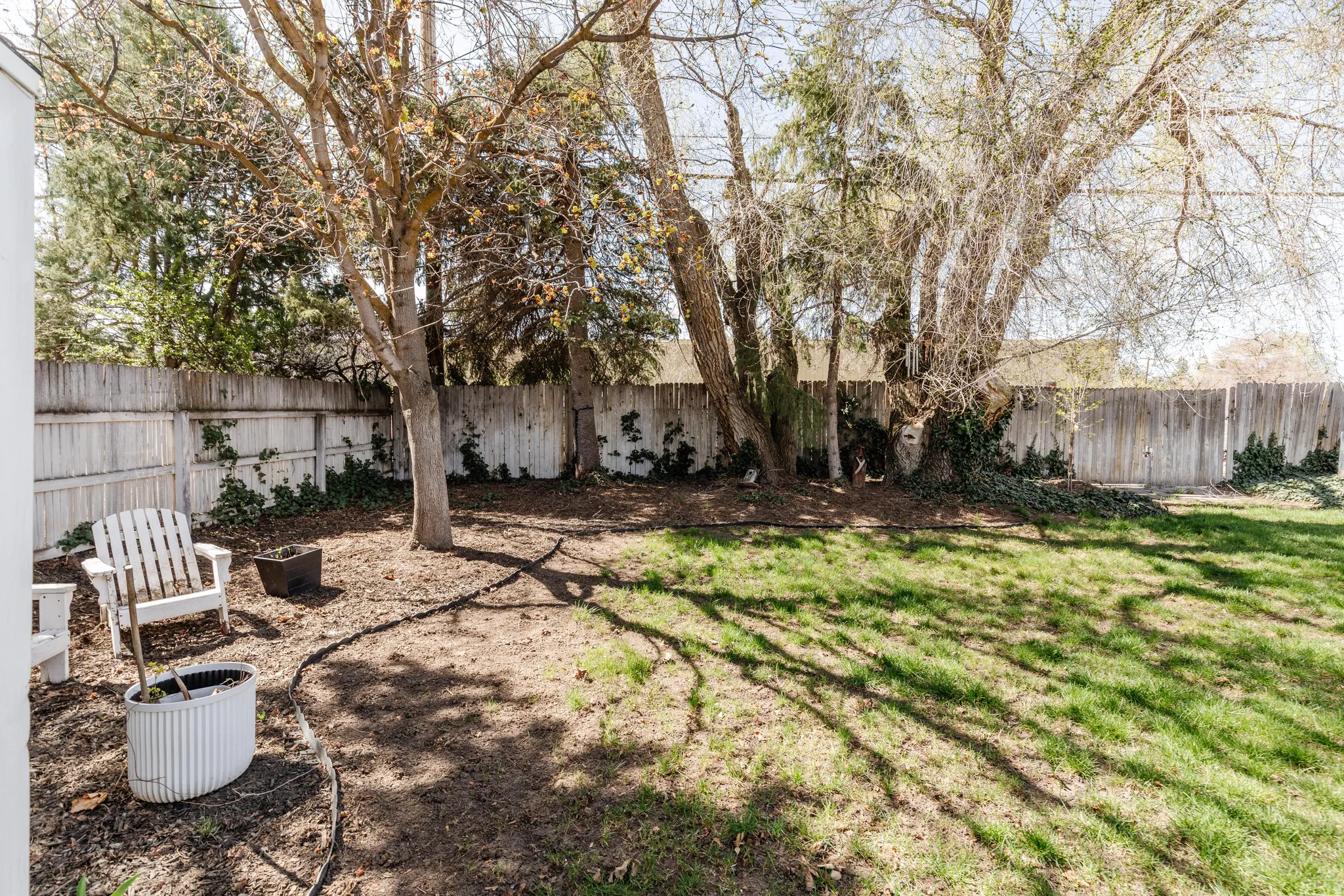 View of fenced backyard