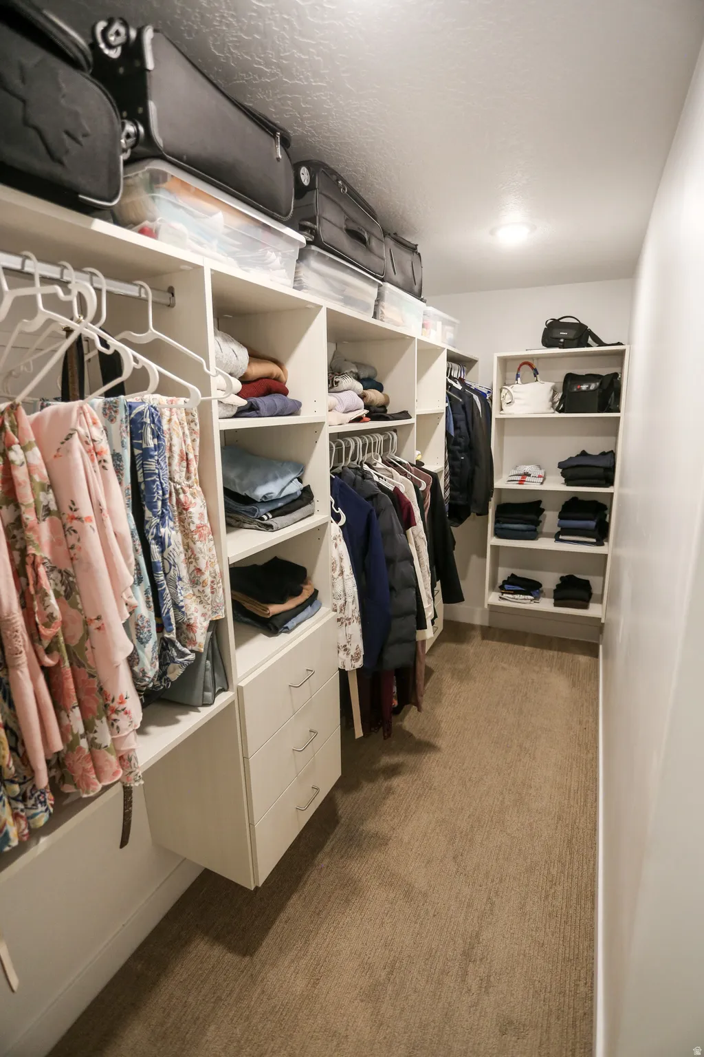 Walk in closet featuring light colored carpet