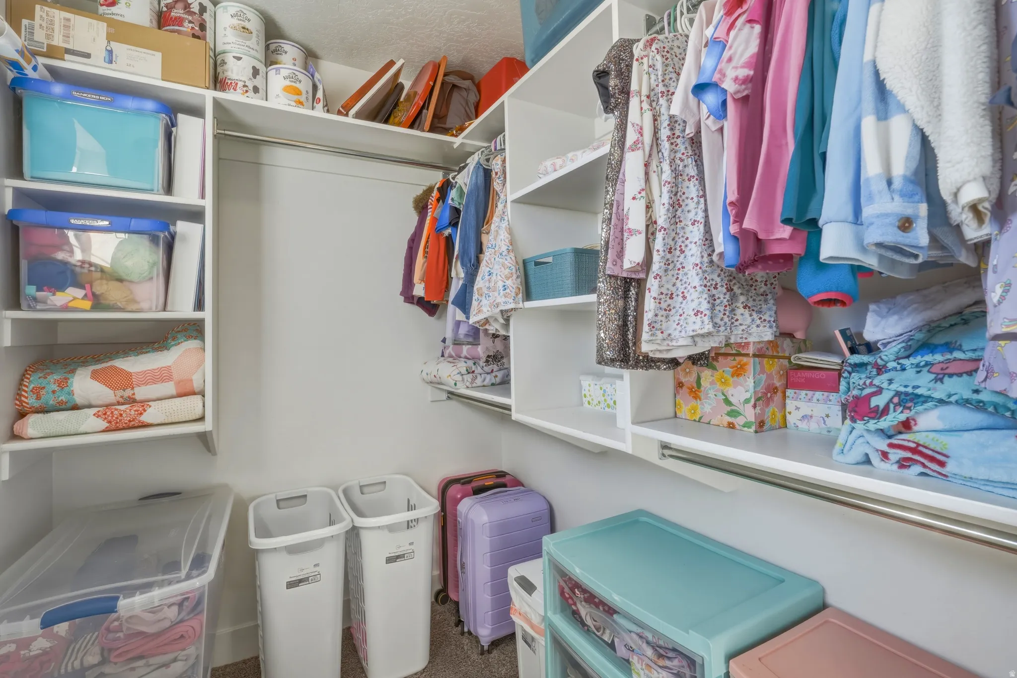 Walk in closet with dark colored carpet