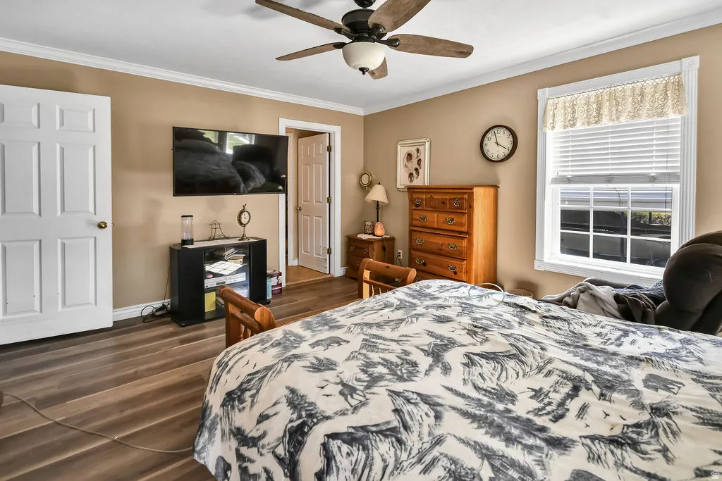 Bedroom with dark wood-type flooring, ornamental molding, and a ceiling fan