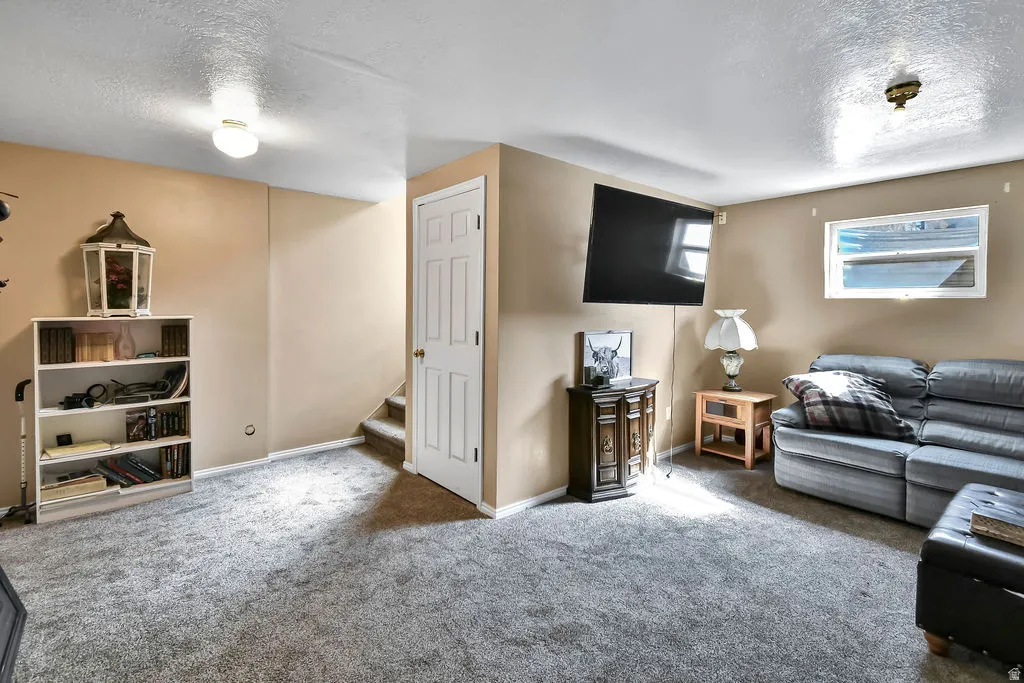 Carpeted living area with a textured ceiling