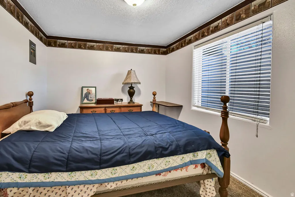 Carpeted bedroom with a textured ceiling and baseboards