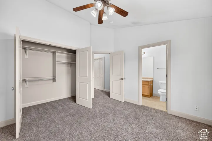 Light gray carpeting