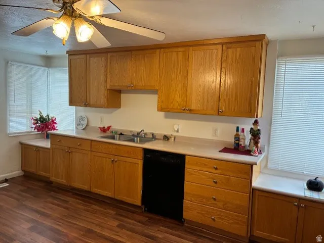 Kitchen featuring light countertops, black dishwasher, a ceiling fan, and dark wood-style floors