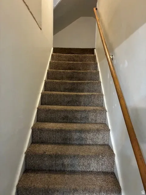 Staircase with carpet floors