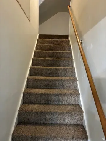Staircase with carpet floors