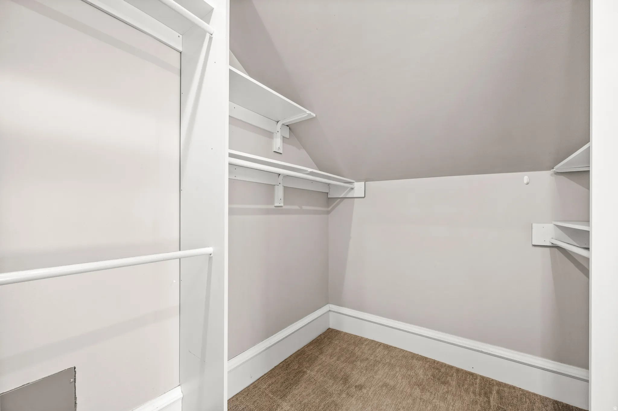 Walk in closet featuring carpet floors and vaulted ceiling