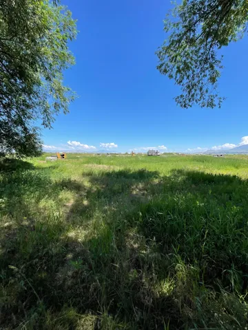 View of local wilderness with rural landscape