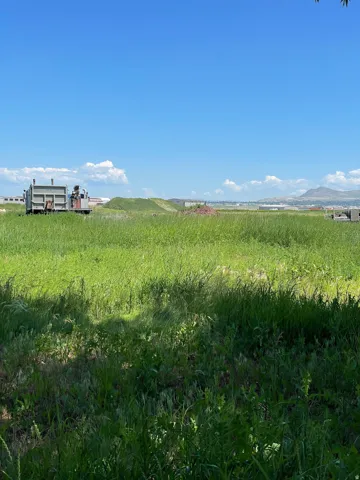 View of local wilderness with rural landscape and a mountain backdrop
