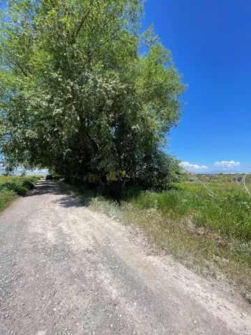 View of dirt / gravel road