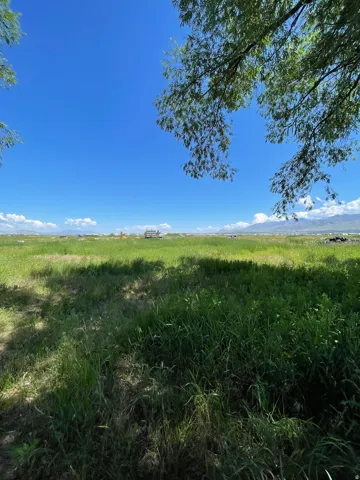 View of local wilderness featuring rural landscape