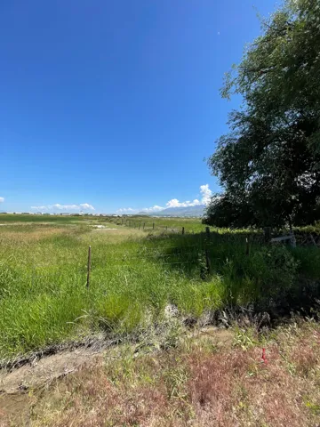 View of undeveloped land featuring rural landscape