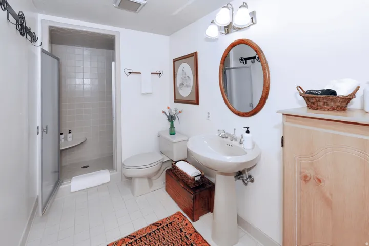 Lower level bathroom
