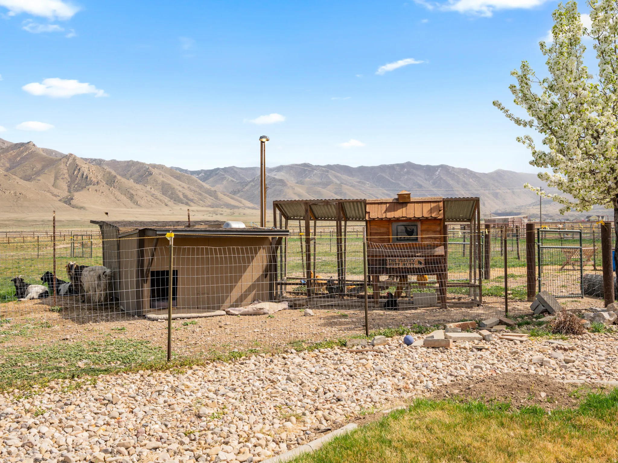 View of yard with exterior structure, an outbuilding, a mountain view, and a view of countryside