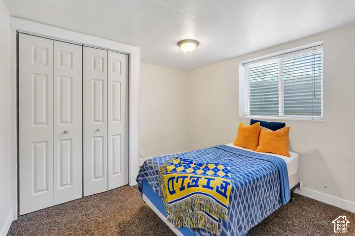Carpeted room featuring a double-pane window with horizontal blinds, a ceiling-mounted light fixture, and bi-fold closet doors with panel detailing
