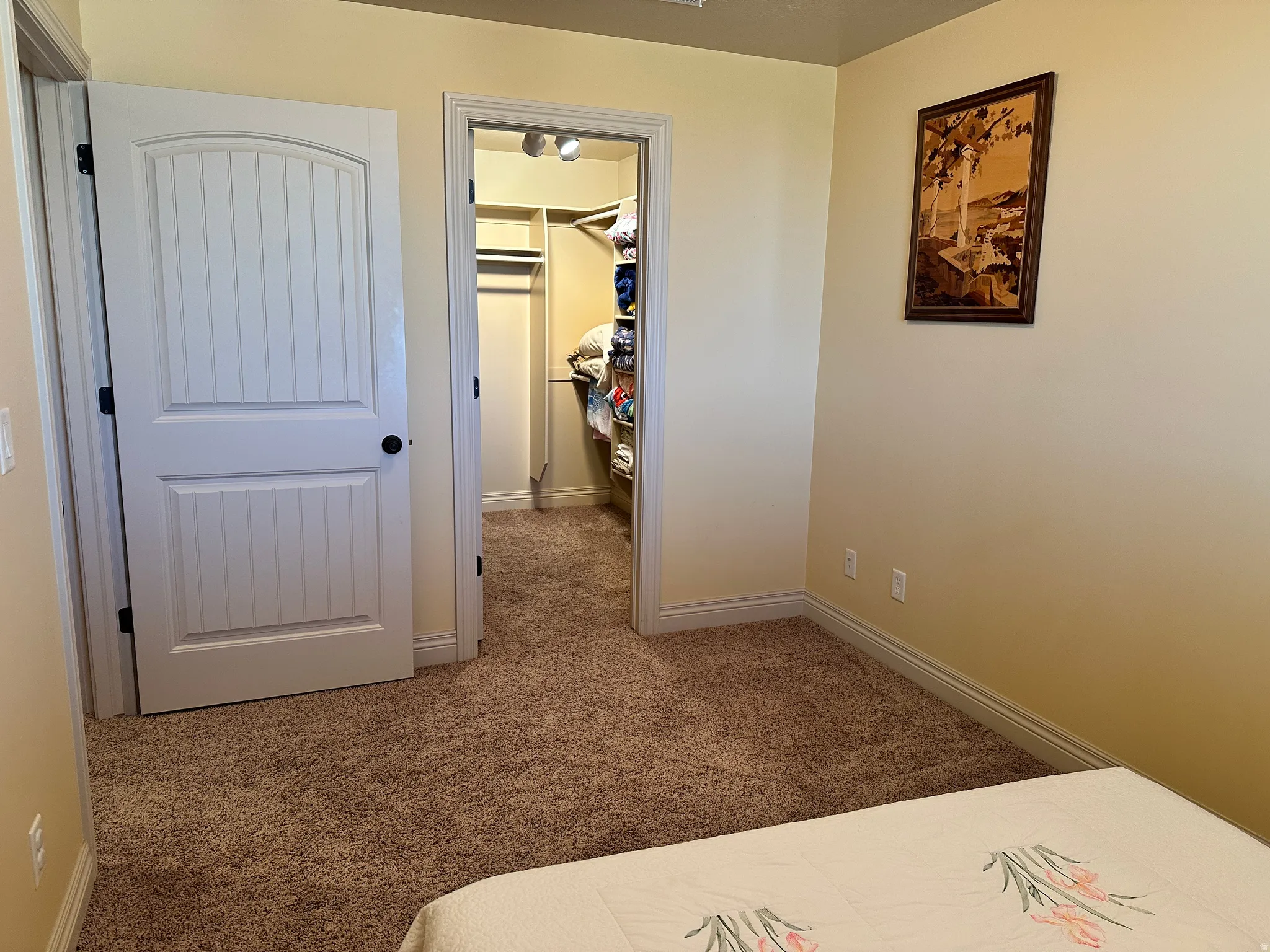 Bedroom with a spacious closet