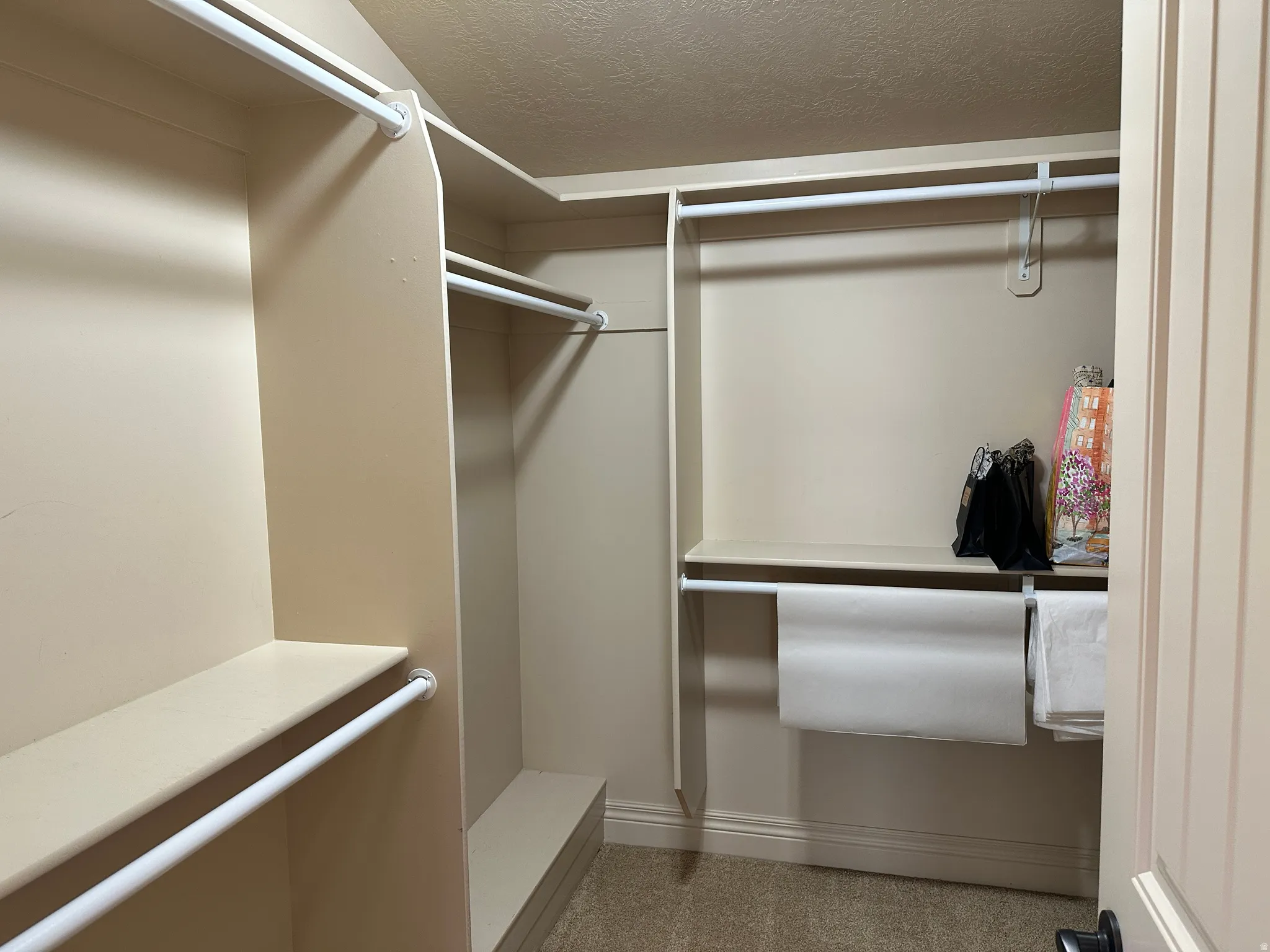 View of walk in closet
