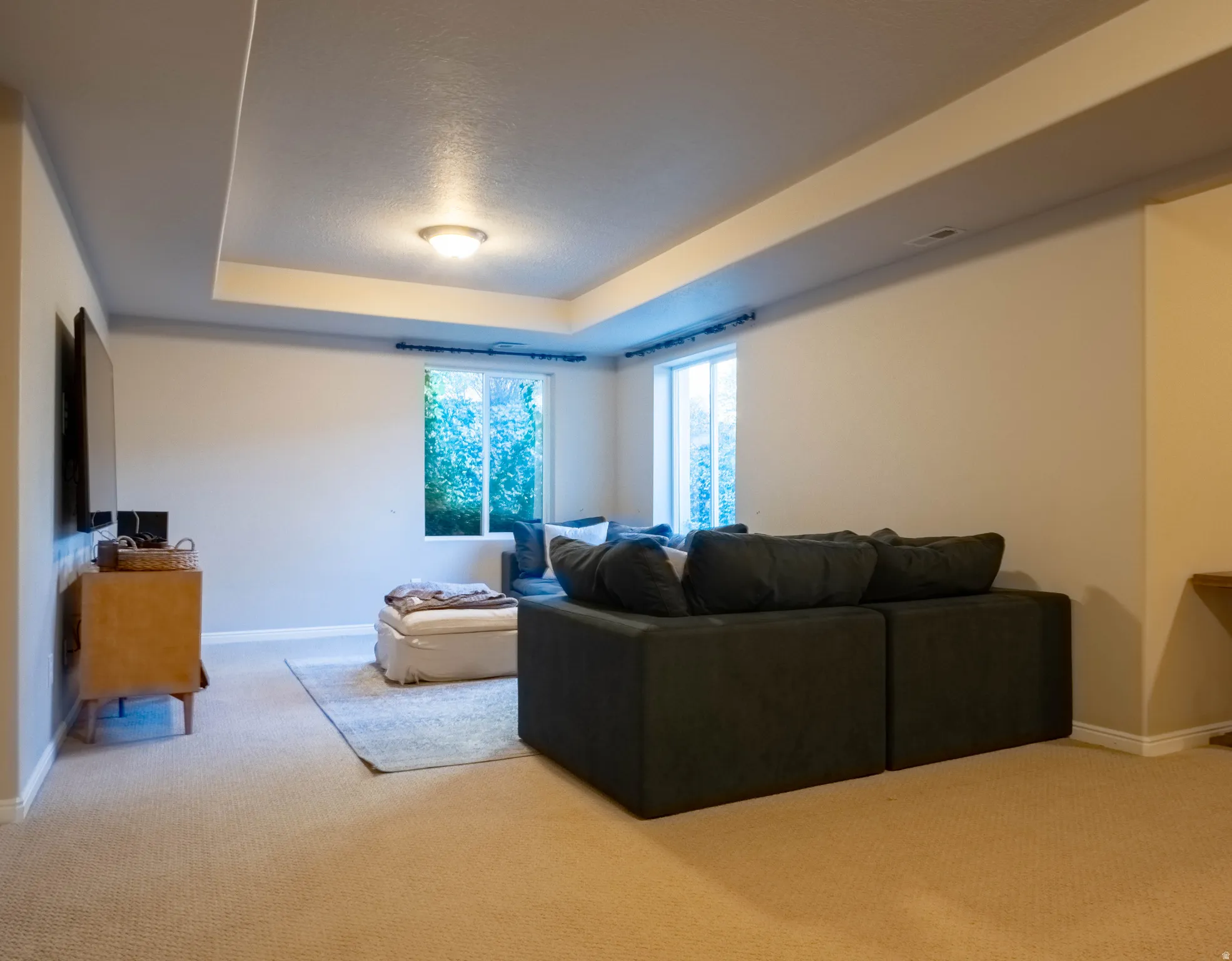 Living room with a tray ceiling and light carpet