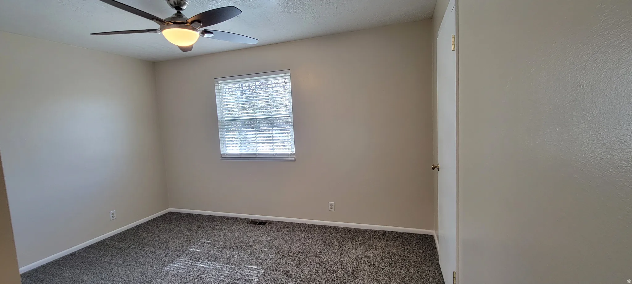 Unfurnished room featuring carpet and ceiling fan