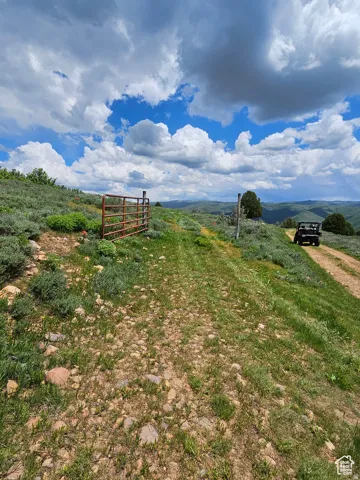 View of yard featuring a view of rural / pastoral area