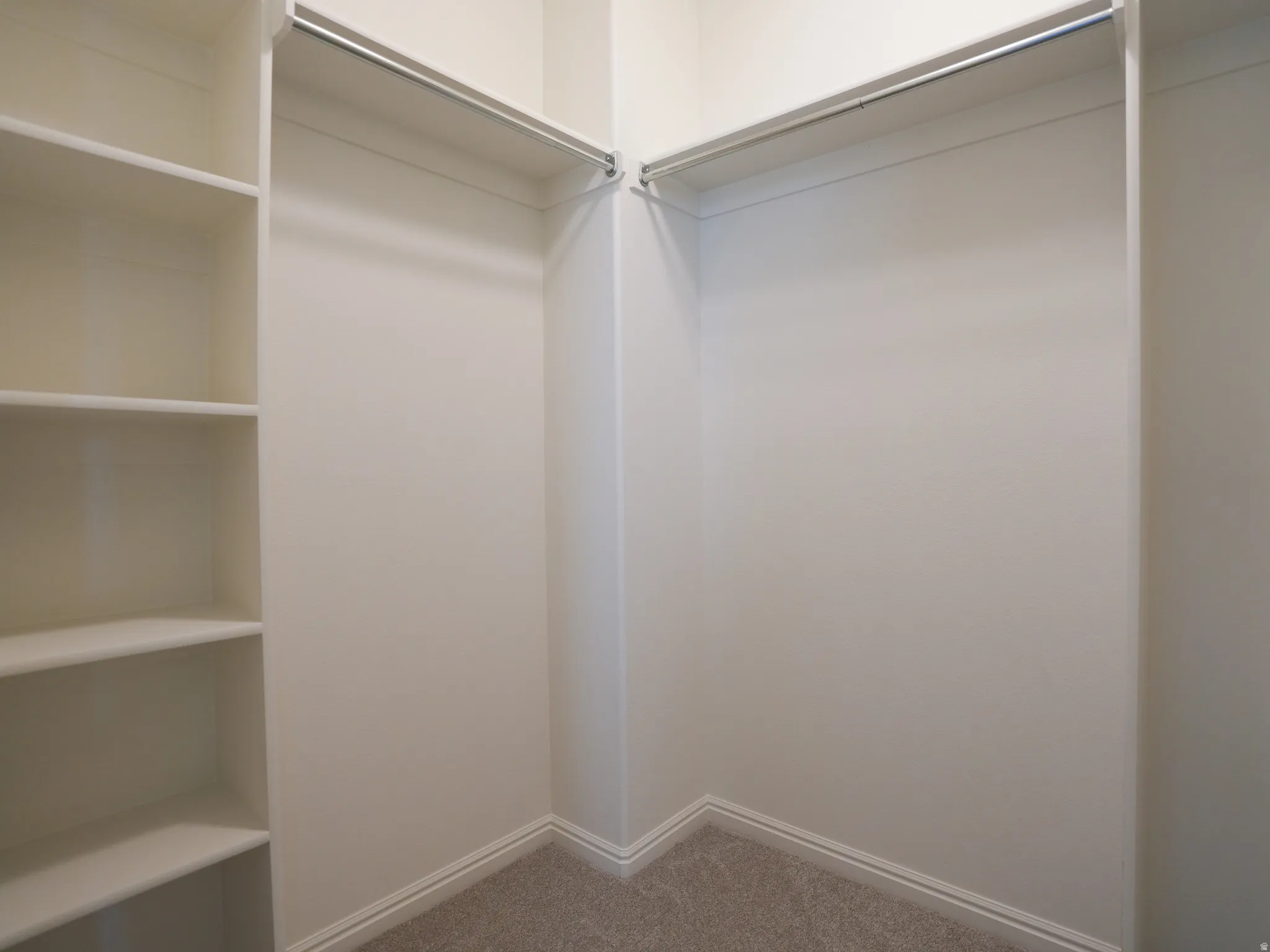 Walk in closet featuring light colored carpet