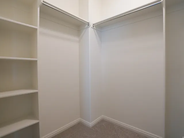 Walk in closet featuring light colored carpet