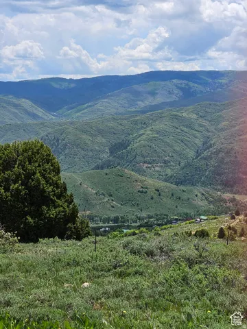 View of mountain background