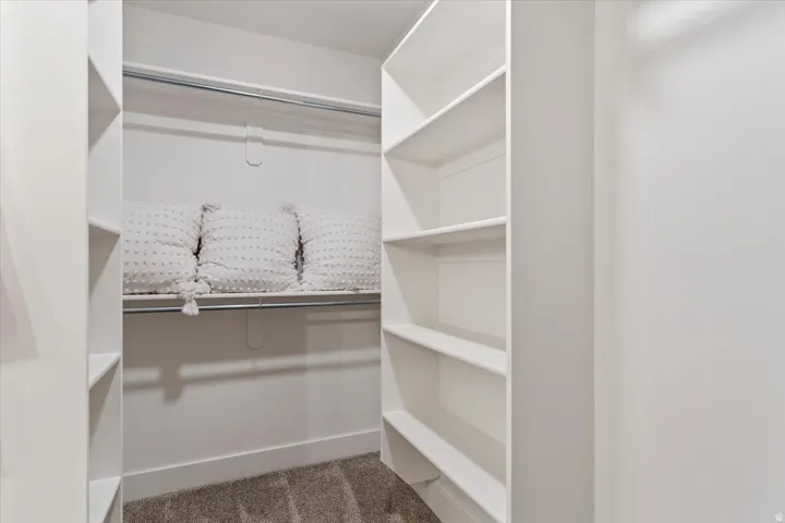Walk in closet featuring light carpet