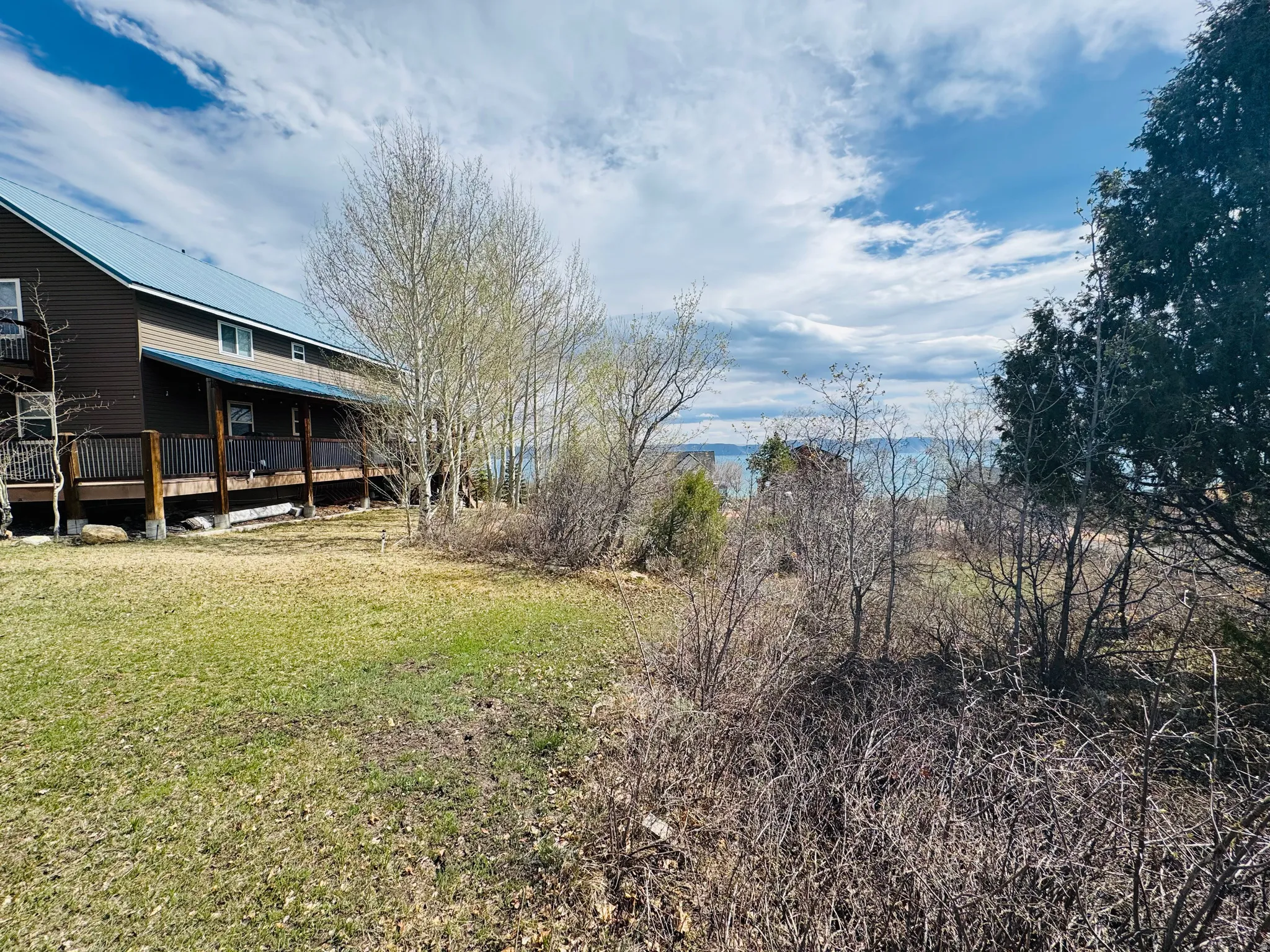 View of grassy yard
