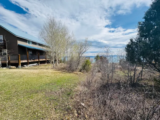 View of grassy yard
