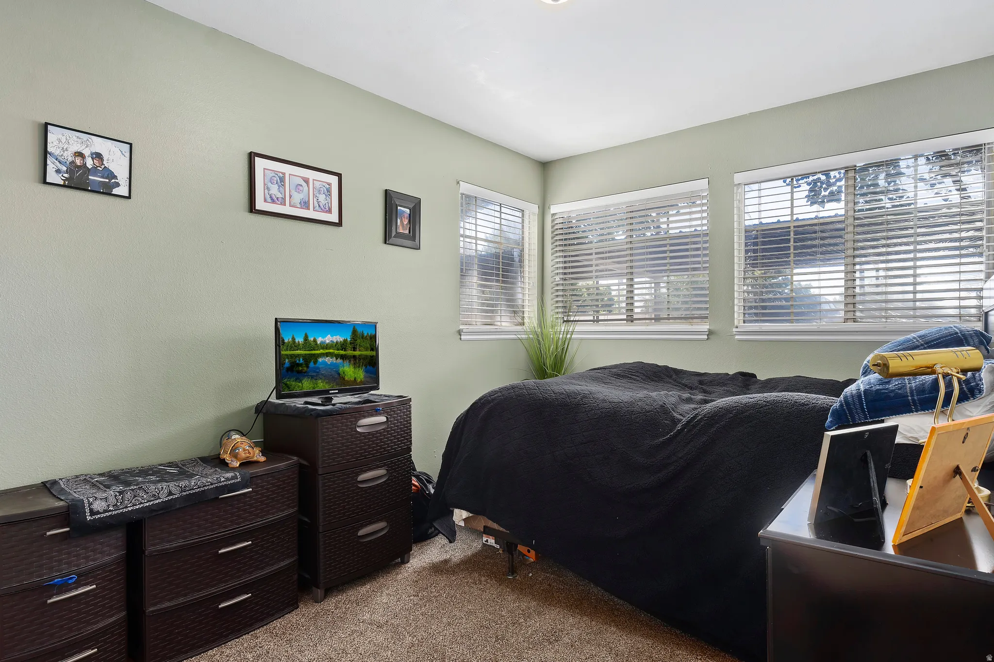 Bedroom with light carpet