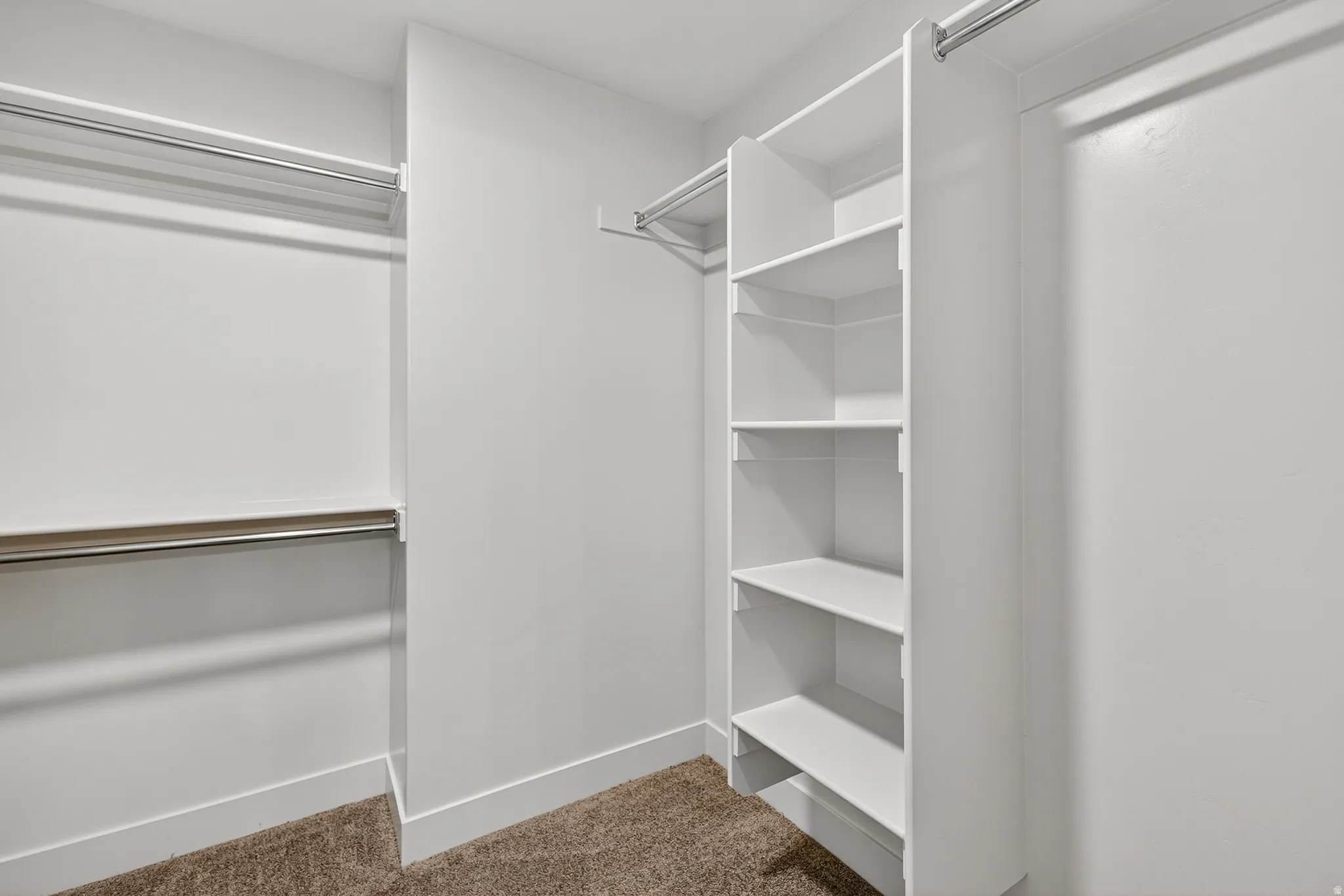 Walk in closet with carpet flooring