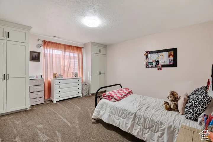 Room featuring built-in cabinetry, neutral carpet flooring, and a large window