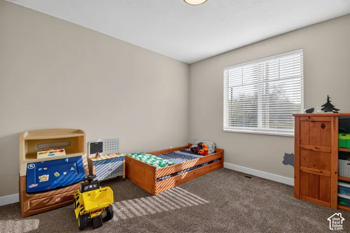 Carpeted room with neutral-toned walls