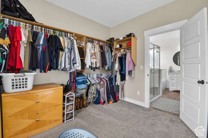 Walk-in closet with built-in shelving, hanging rods, light-toned walls, and grey carpet