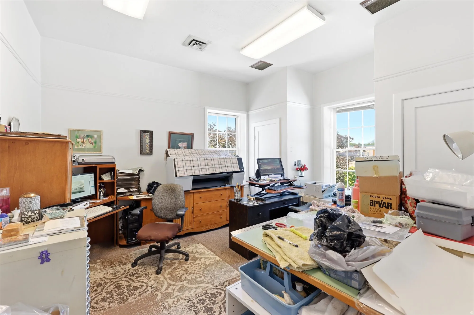 Bright room featuring multiple windows, white painted walls, and light-colored carpeting