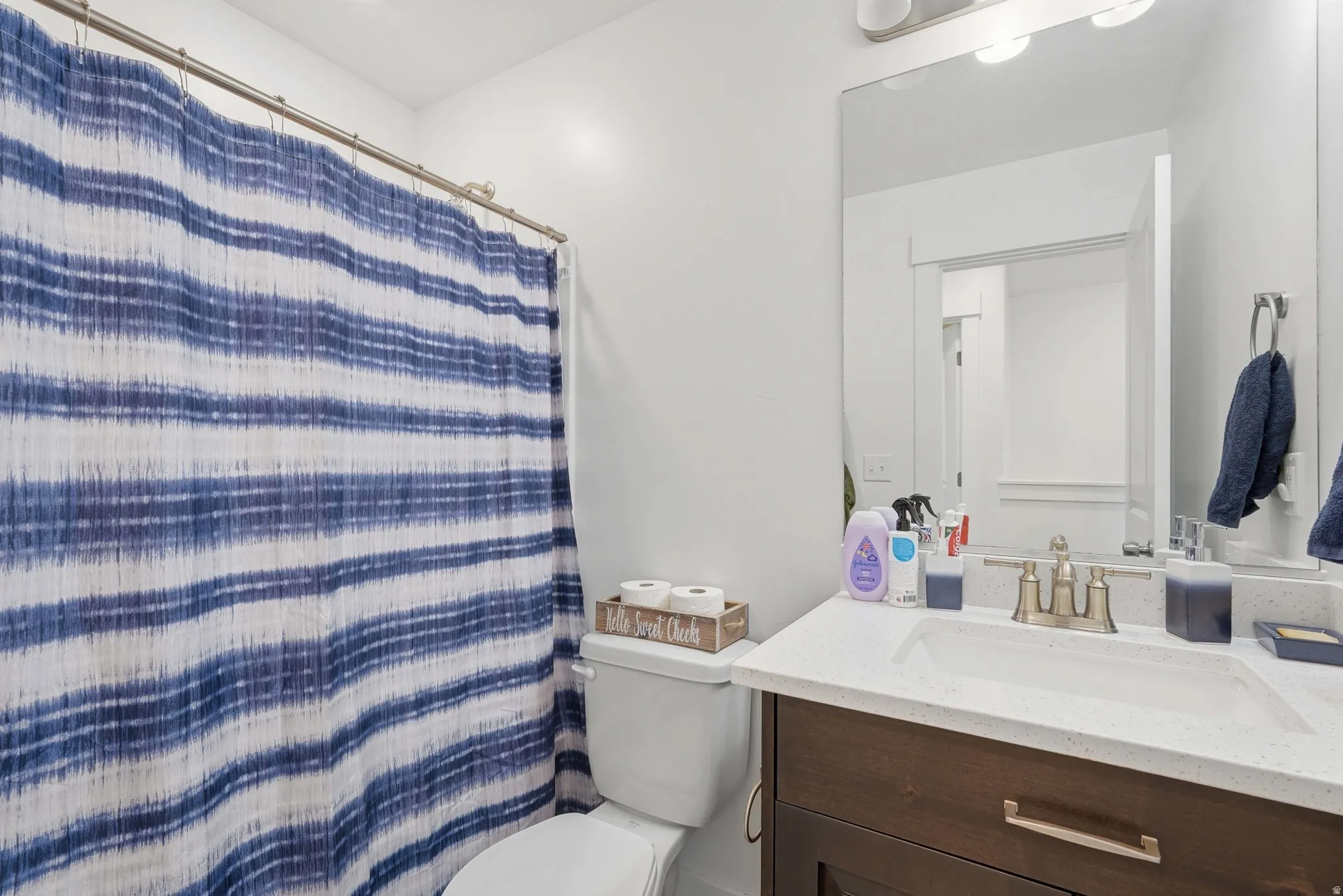 Full bathroom featuring vanity and curtained shower